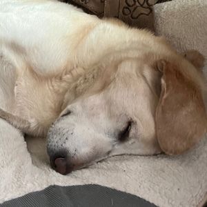 Meet your Posher, Nathaniel